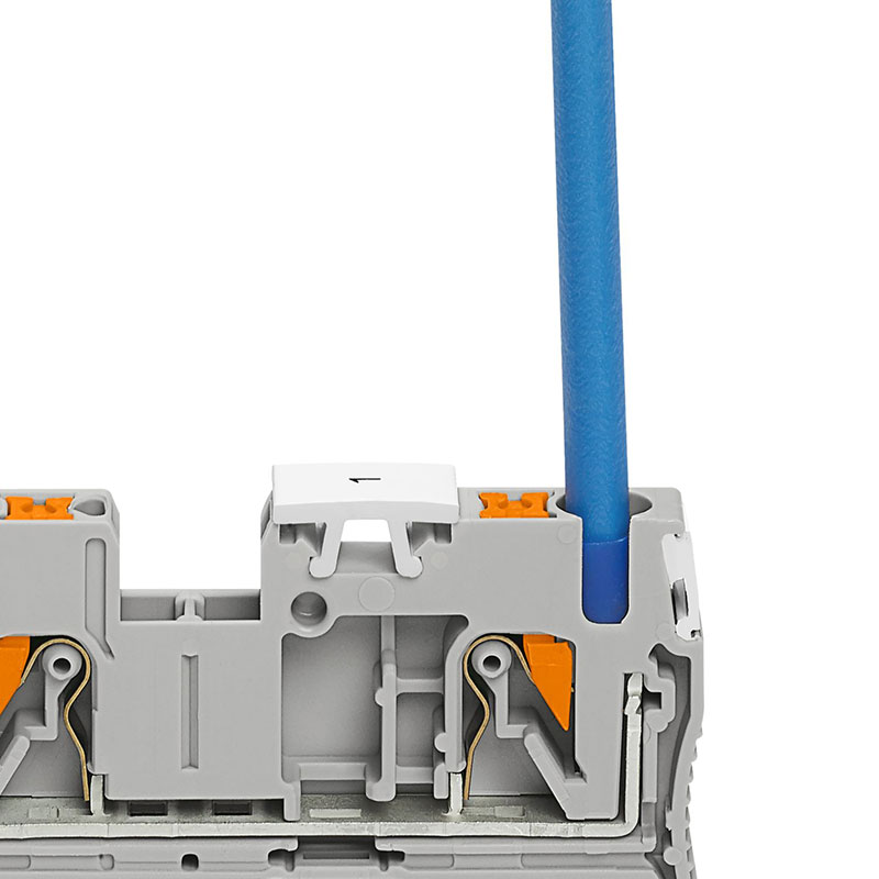 PTS 2,5-QUATTRO BU - 直通式接线端子